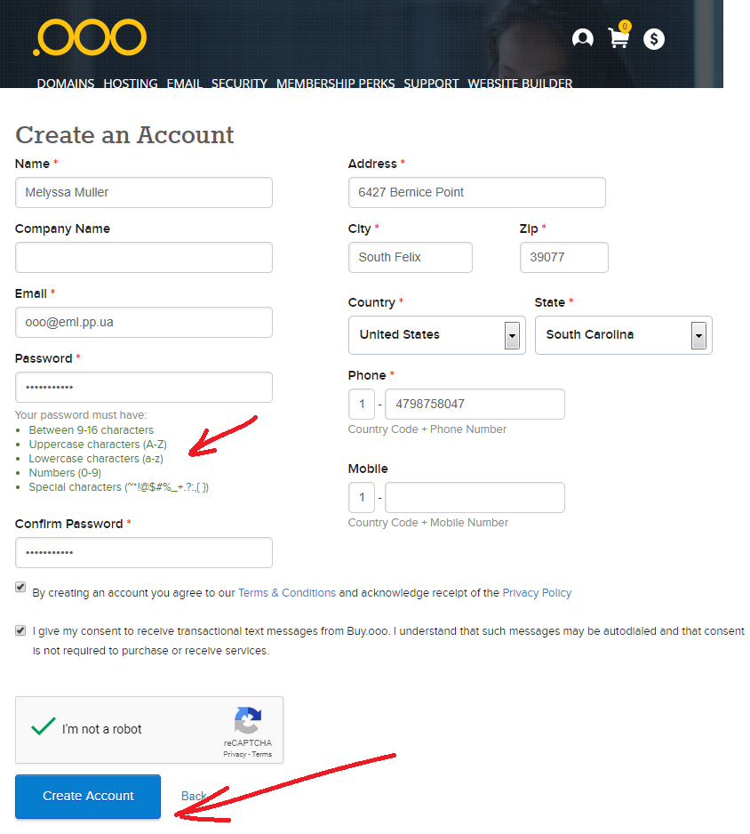 Filling in the registration form